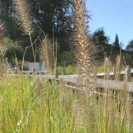 Apartment First 2-3 *