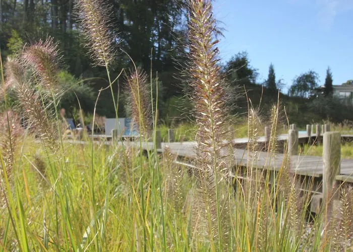 Apartament First 2-3 *